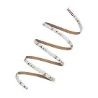 Ledvance LED Strip Performance 21W 2455lm 24v - 965 Daglicht | 5M/8mm - Beste Kleurweergave